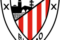 维尼修斯胜利后情绪失控：球星与团队关系的微妙平衡